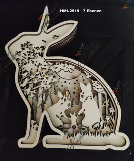 Multilayer Hase