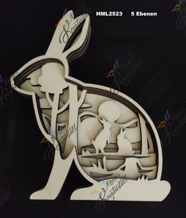 Multilayer Hase