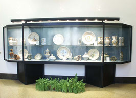 Wall display cases