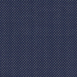 Biojersey Punkte Crown Blue/ Grau C. PAULI