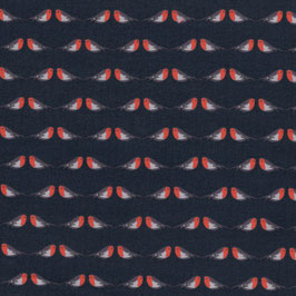 Single Jersey Robin Rot, C. Pauli