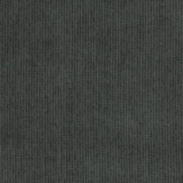 Bio Cord Turbulence C. Pauli