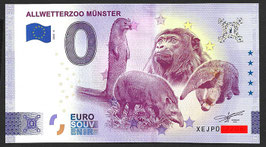 DE-2025-JP-6 - ALLWETTERZOO MÜNSTER - AFFE