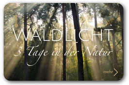 Waldlicht - Tage in der Natur