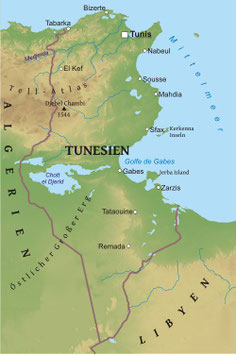 Tunesien - Sahara Wild Tracks - März 2027