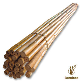 Canna Bamboo per orto cm. 240 x 25 pezzi