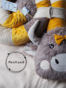 Highland Cattle standard girlie STOCK