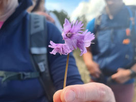 Saisonauftakt Wandern am Tegernsee - 24.04. - 26.04.2026