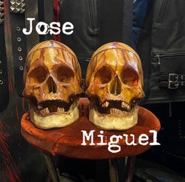 Antique anatomical model Skull
