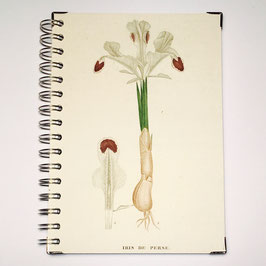 Notizbuch, Serie Pflanzenlithographien (verkauft)