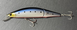 RAFALEA JT 118 F 赤腹イワシ