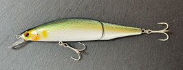 RAFALEA JT 118 F トレフル　アユ