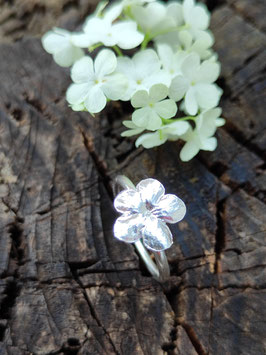 Schneeball Hortensien Ring mit großer Blüte