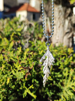 Großer Thuja Anhänger mit Kugelöse