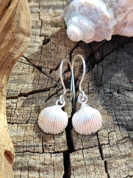 Veij Sommer Kollektion Muschelhälften Ohrhänger