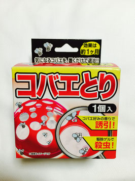 コバエとり　(ゲルタイプ／約1ヶ月用)