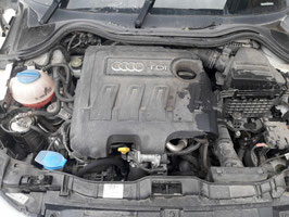 Motor Audi A3 1.6 TDI CAYC 75 TKM 77KW 105 PS komplett inklusive Lieferung und 12 Monate Gewährleistung