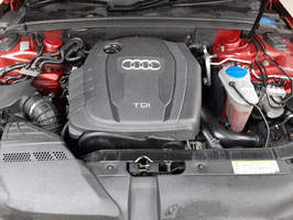 Motor Audi A3 2.0 TDI CFFB 43 TKM 103 KW 140 PS inklusive Lieferung und 12 Monate Gewährleistung