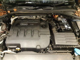 Motor Audi A3 1.6 TDI DDYA 31 TKM 85 KW 115 PS komplett inkl. Lieferung