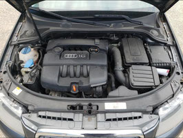 Motor Audi A3 1.6 BSE 115 TKM 75 KW 102 PS komplett inklusive Lieferung und 12 Monate Gewährleistung