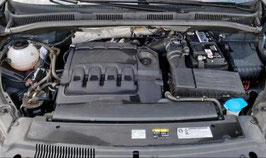 Motor Seat Alhambra 2.0 TDI DLTA 66 TKM 110 KW 150 PS komplett inklusive Lieferung und 12 Monate Gewährleistung