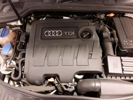 Motor Audi A3 1.6 TDI CAYC 46 TKM 77KW 105 PS komplett inklusive Lieferung und 12 Monate Gewährleistung