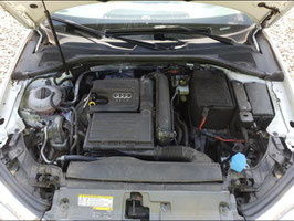 Motor Audi A3 1.6 BSE 109 TKM 75 KW 102 PS komplett inklusive Lieferung und 12 Monate Gewährleistung