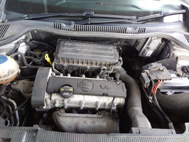 Motor Seat Altea 1.4 16V CGGB 43 TKM 63 KW 86 PS komplett inklusive Lieferung und 12 Monate Gewährleistung