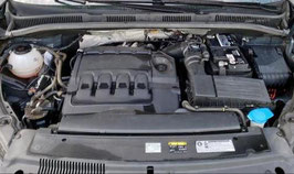 Motor Seat Alhambra 2.0 TDI DLTA 79 TKM 110 KW 150 PS komplett inklusive Lieferung und 12 Monate Gewährleistung