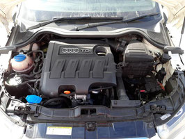 Motor Audi A3 1.6 TDI CAYC 32 TKM 77KW 105 PS komplett inklusive Lieferung und 12 Monate Gewährleistung