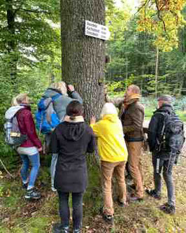 Shinrin Yoku trifft Yoga - Benefizwaldbad zu Gunsten "Wurzeln für alle" am 21. Juni 2025