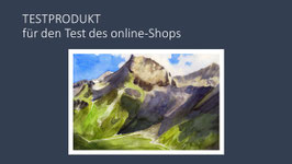 #000 / TESTPRODUKT für den Test des Online Shops