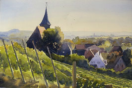 #677 / Weinsberg im Herbst / Village, vinyards, autumn sun