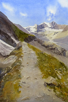 #870 / Schweizer Alpen - Val d’Anniviers - Auf dem Weg zur Moiry Hütte / On the way to the Moiry cabin