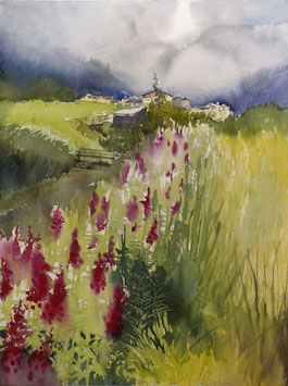 #817 / Pitztal - ein Regentag im Tal mit Wildblumen / The Alps - Pitztal (V) - rainy day with wildflowers