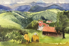 #889 / Pestera I