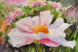 #917 / Ein strahlendes Lächeln (Pfingstrose) / A radiant smile (Peony),