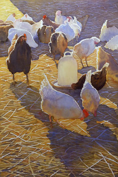 #780 / Ich wollt' ich wär ein Huhn, ich hätt' nicht viel zu tun... / Chicken Club
