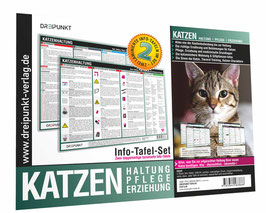 Katzen