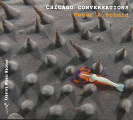 CHICAGO CONVERSATIONS (MP3)