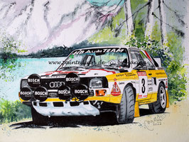 Audi Rallye Sport Quattro Gr.5 1985 Replica #3 AWA Clarion Rally New Zealand