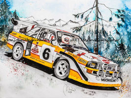 Audi Sport quattro S1 #6 Stig Blomqvist