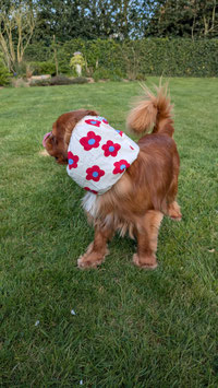 SNOOD en coton