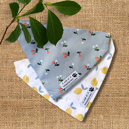 BANDANAS POUR CHIEN ET CHAT