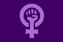Women's Rights Protest Flag