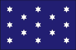 Washington's Commander-in-Chief Flag