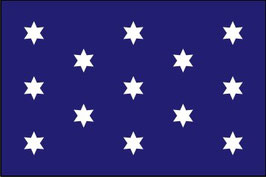 Washington's Commander-in-Chief Flag