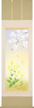 掛軸「桜に菜の花」吉川由良 尺五立（A-1044）