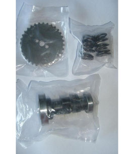 Nockenwellenkit YX140