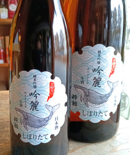酔鯨　純米吟醸　吟麗しぼりたて生酒